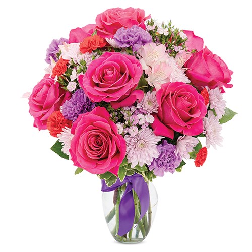 Ultimate elegance roses