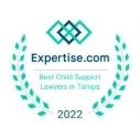 Child Support Lawyers Tampa