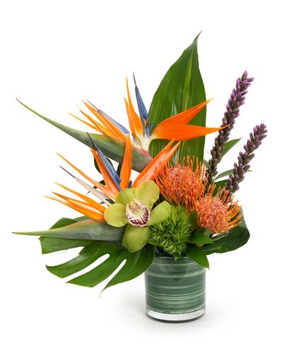 Tropic Delight arrangement