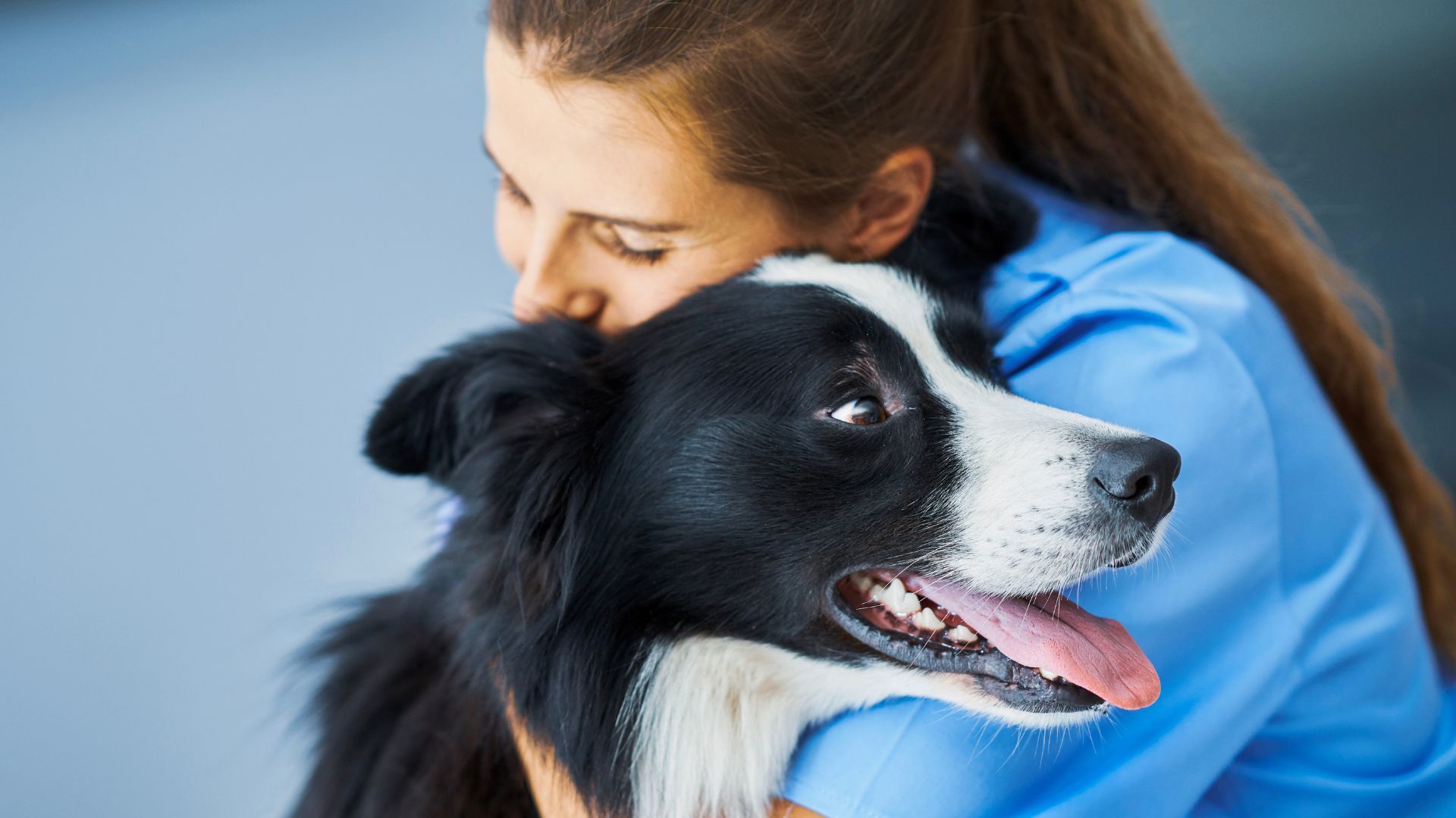 Fort Lauderdale Veterinary Center