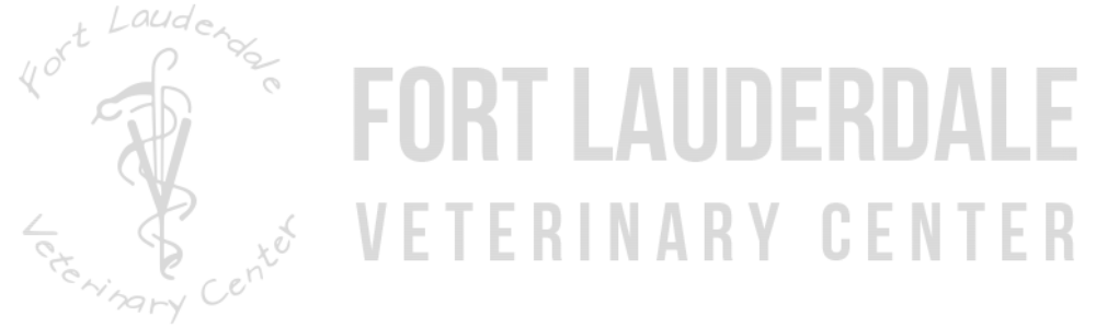Fort Lauderdale Veterinary Center