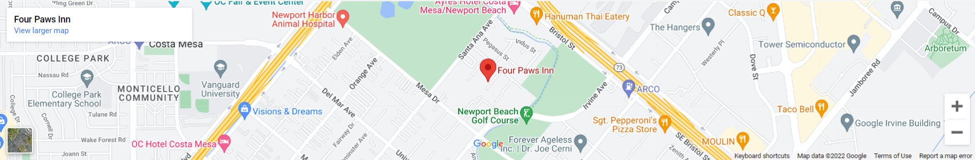 Happy dogs at Four Paws Inn Boarding Newport Beach