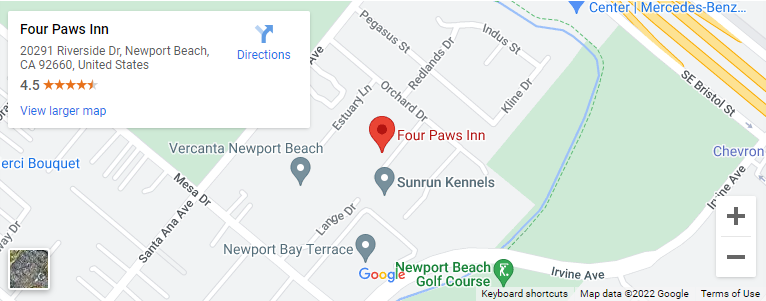 Four Paws Inn Boarding facility Newport Beach