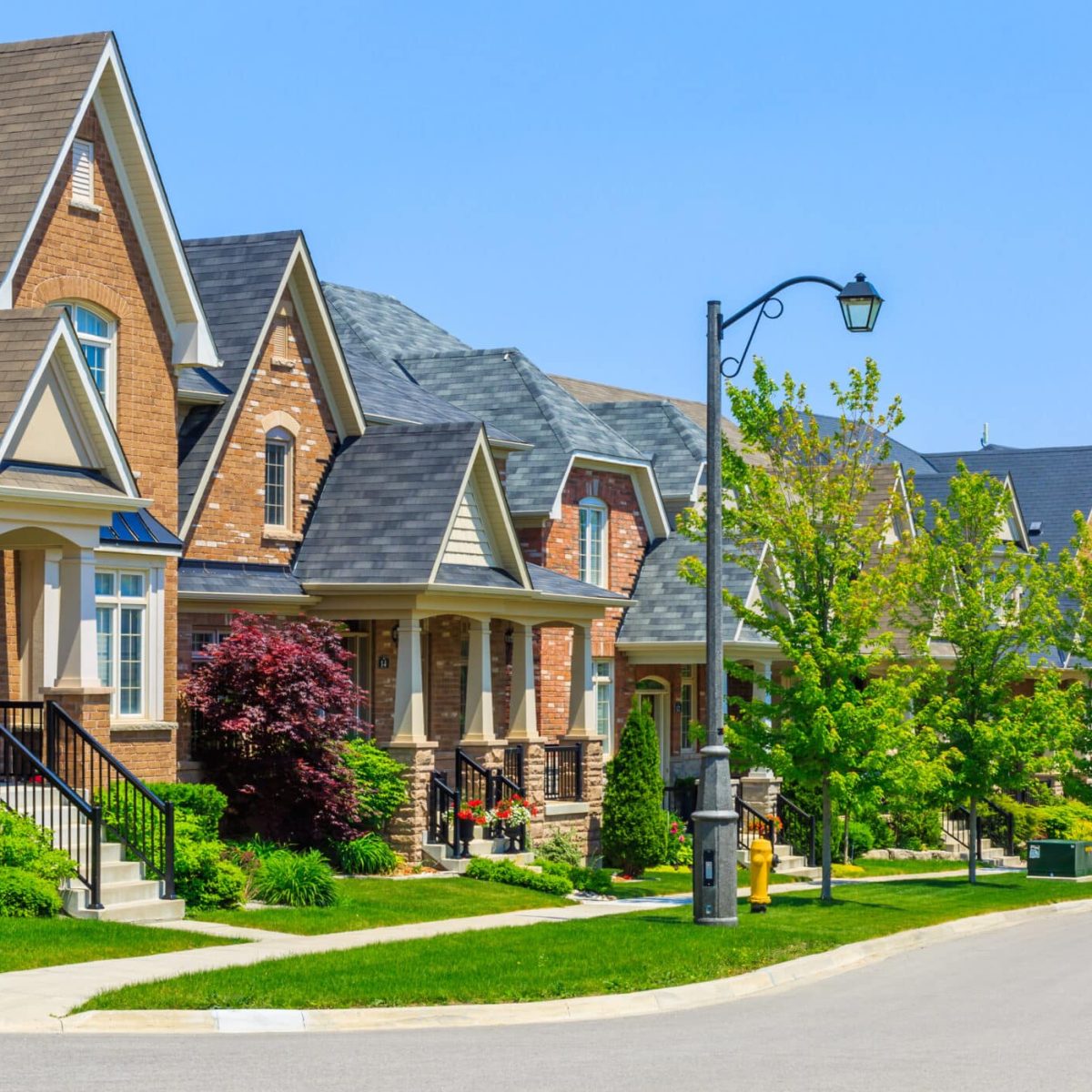 Professional landscape work