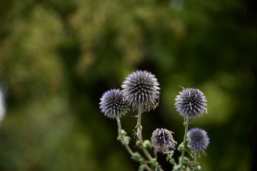 Seattle travel guide