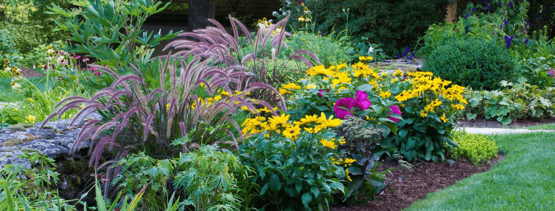 Lush green lawn by Green Heron