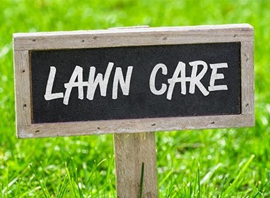 Lawn care service