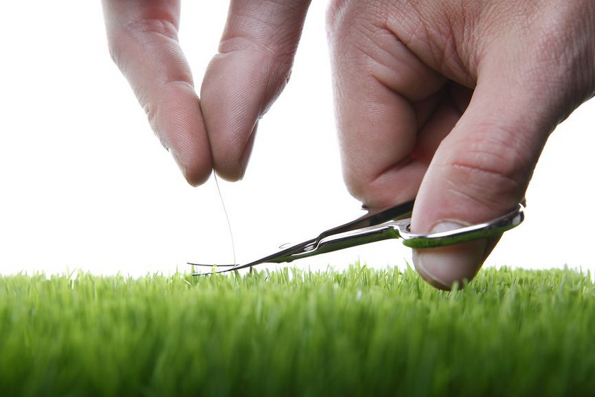 Lawn maintenance service