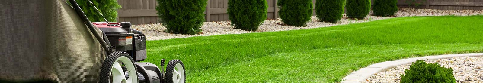 Commercial landscape management