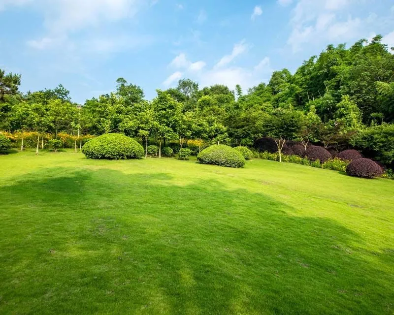 Professional lawn mowing and care Boise