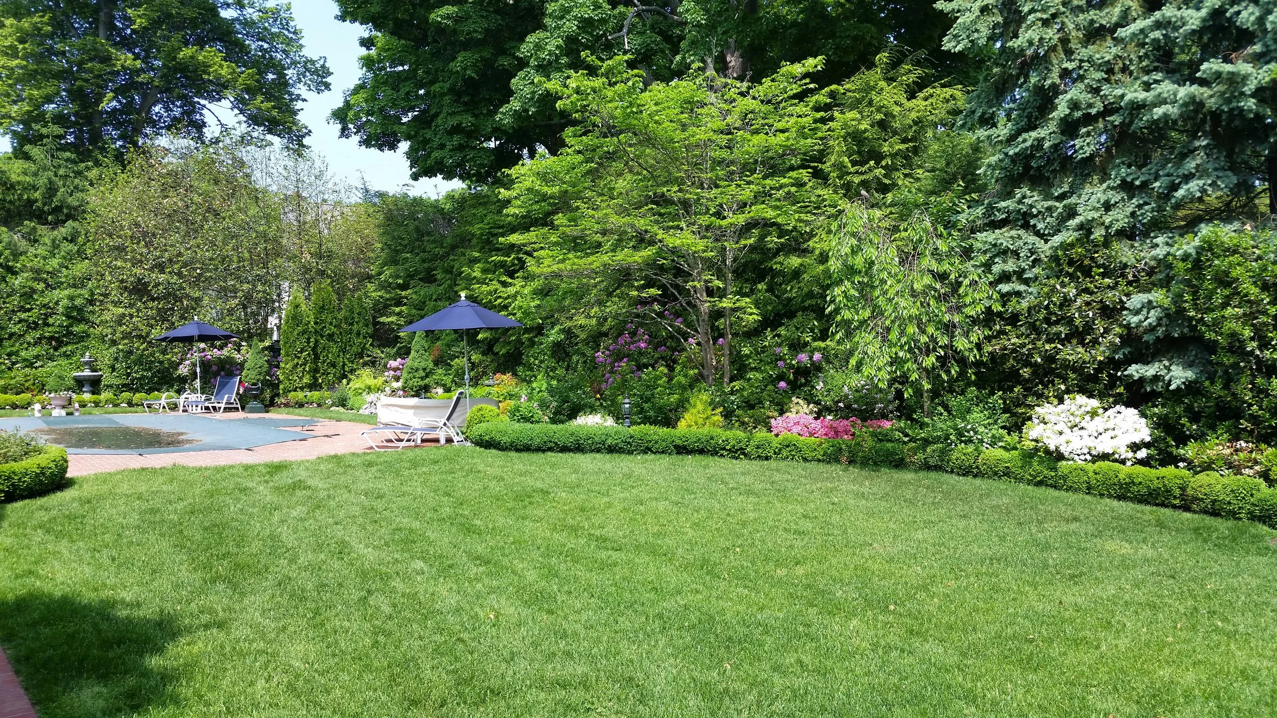 Greenwich landscaping