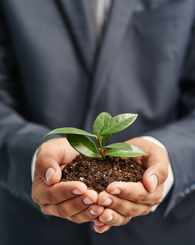 Eco-friendly organic dry cleaning