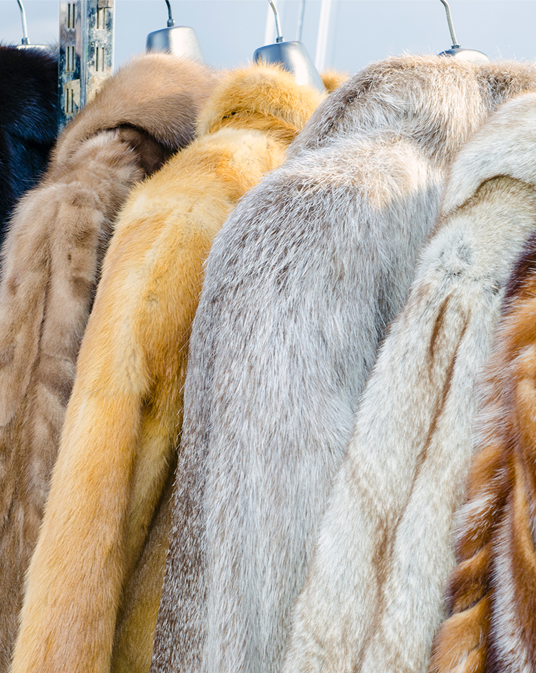 Fur suede and leather care