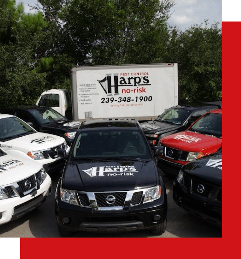 Interior and exterior pest control service