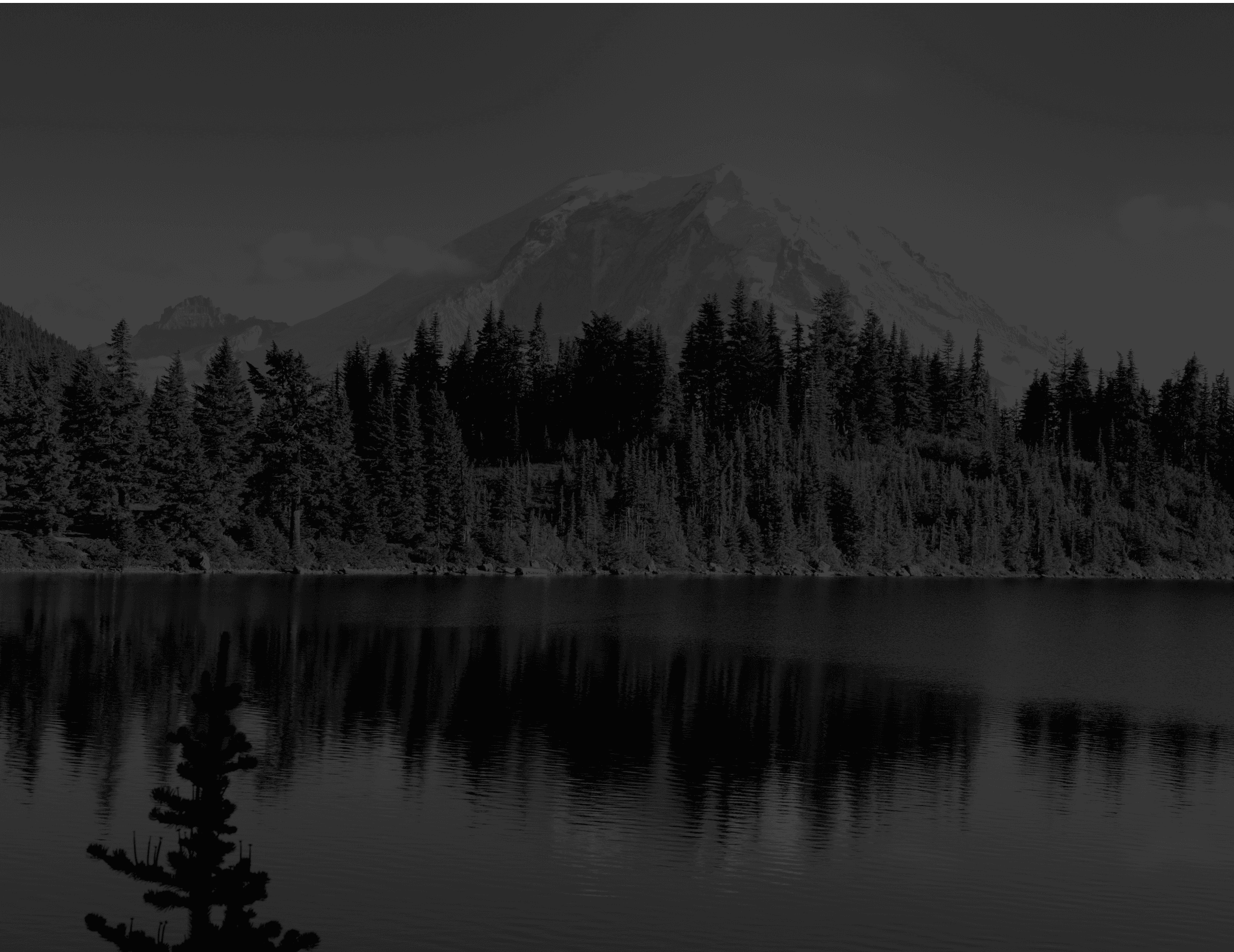 Heartwood Law imagery