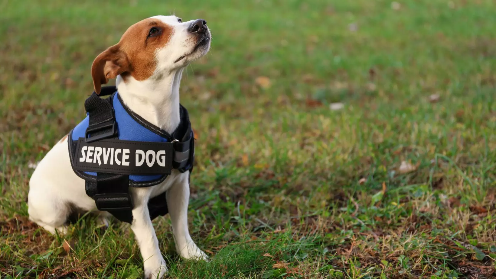 Investment Properties Charlotte