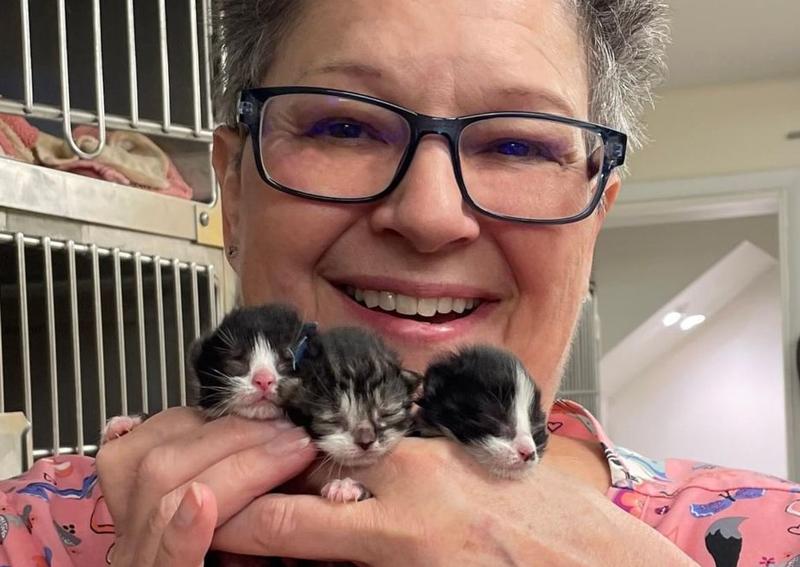 High Ridge Animal Hospital team