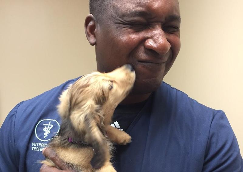 High Ridge Animal Hospital