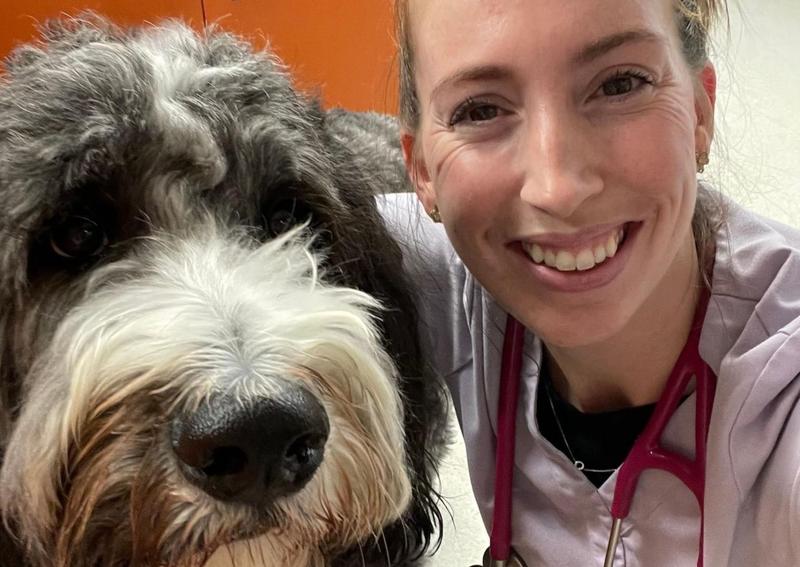 Dog at veterinary clinic