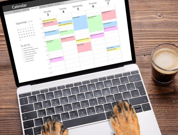 Online appointment booking