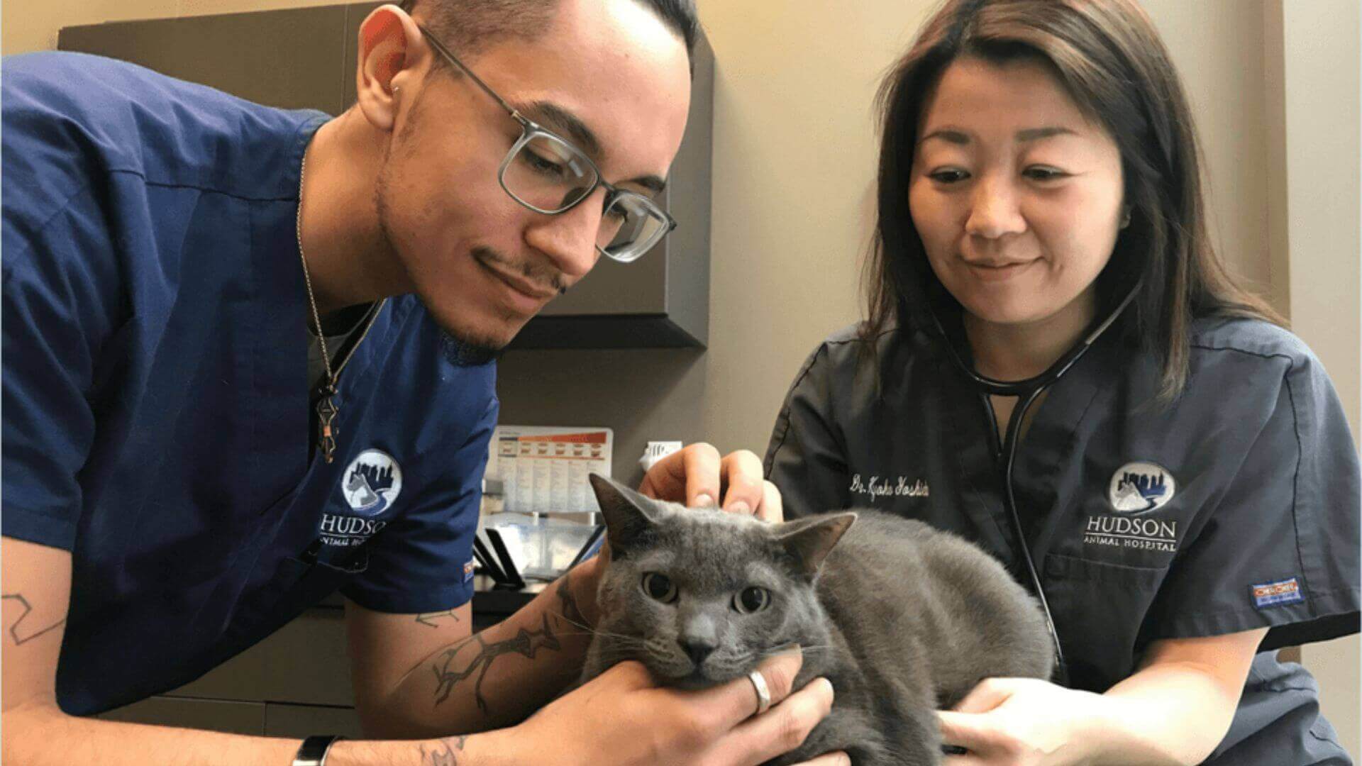 Hudson Animal Hospital veterinary care