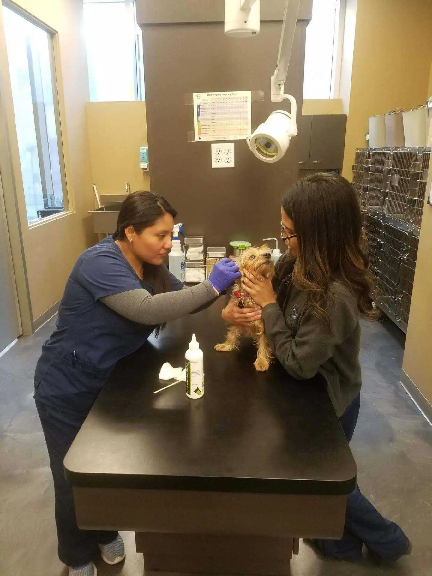 Hudson Animal Hospital facility