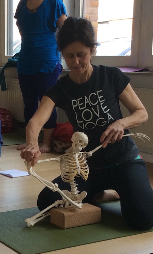 Anatomy study illustration