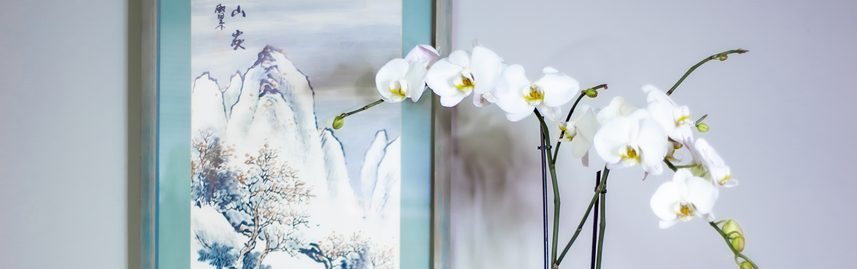 Kang Acupuncture clinic