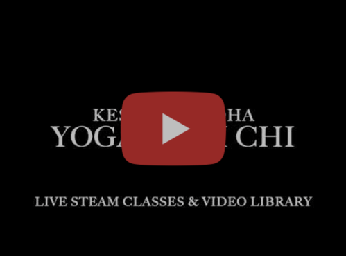 YouTube video classes