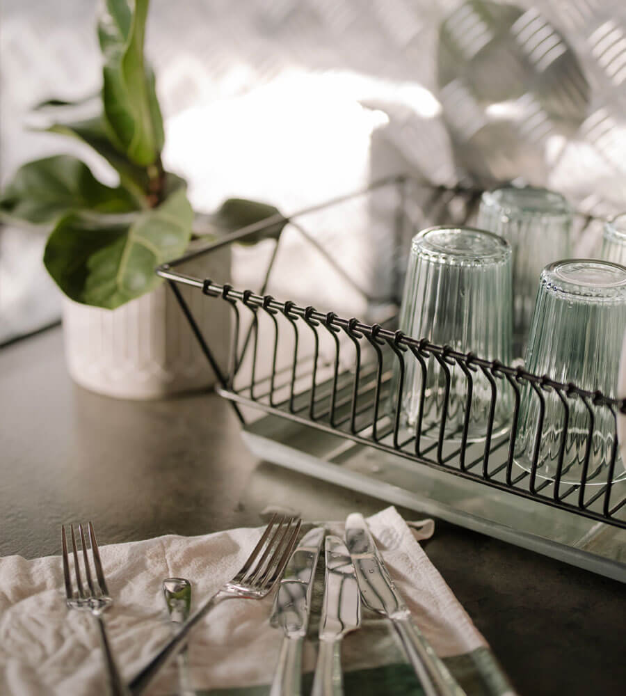 Professional home cleaning