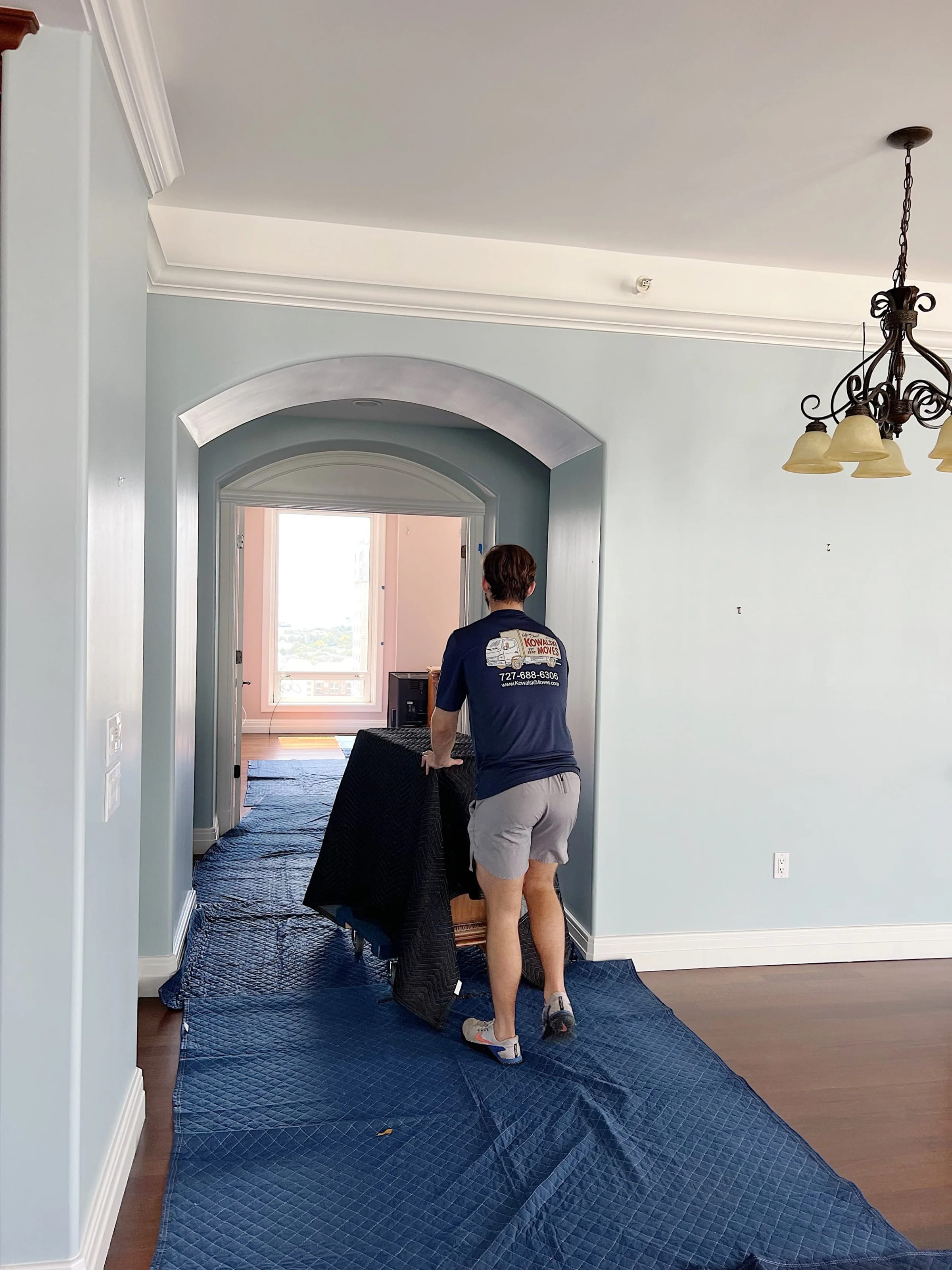 Professional movers Tampa
