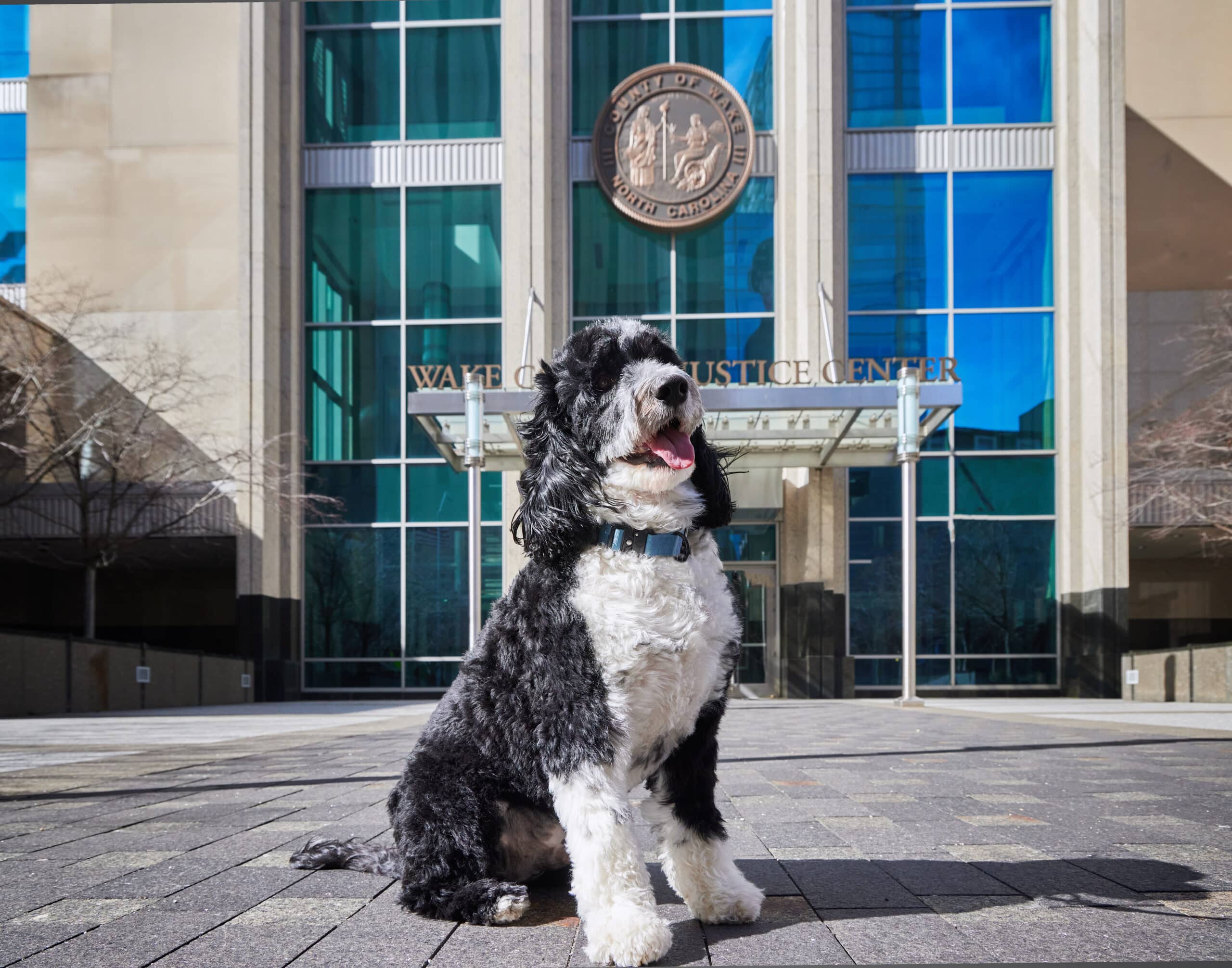 Kurtz and Blum attorney