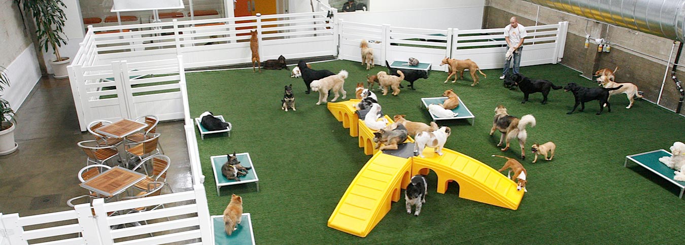LA Dogworks Indoor Dog Park