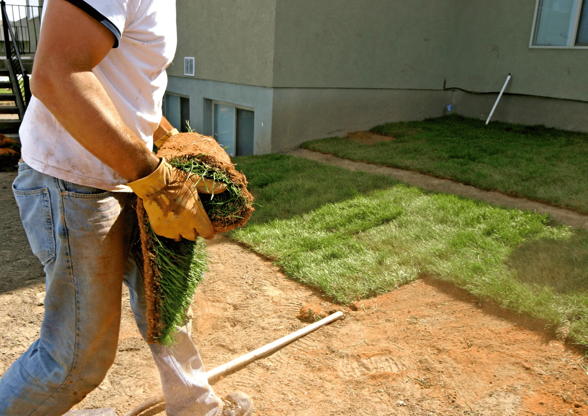 Landscaper installing sod