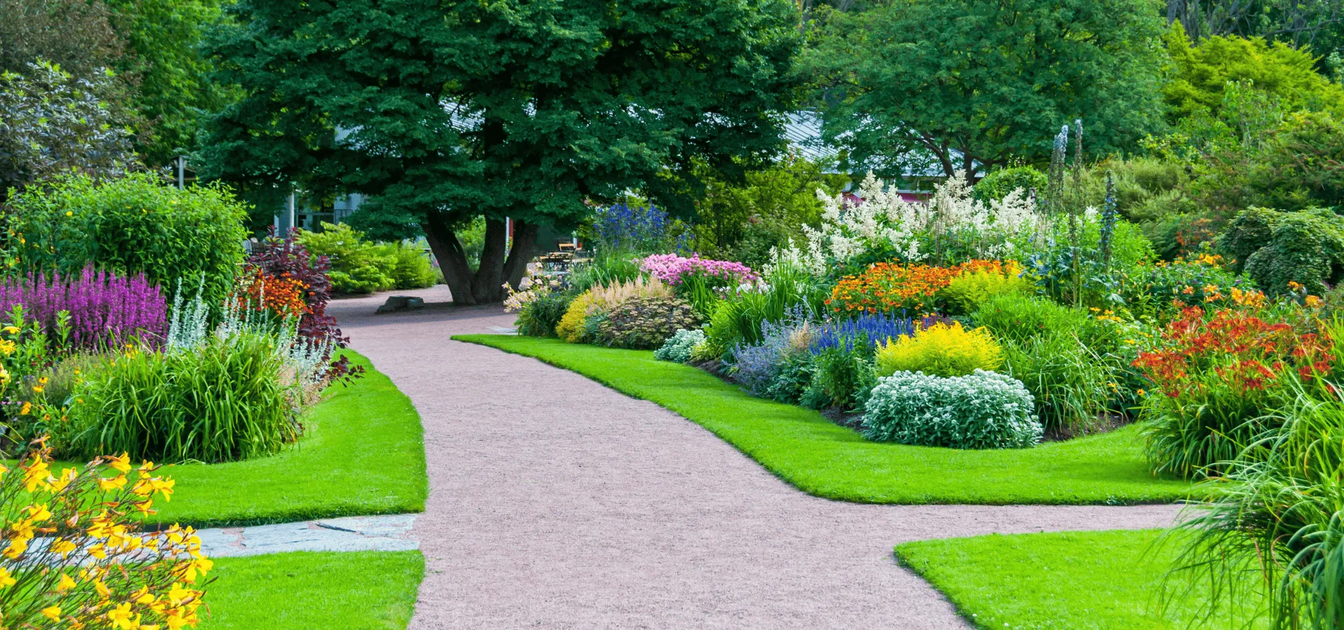 Beautiful landscaped garden