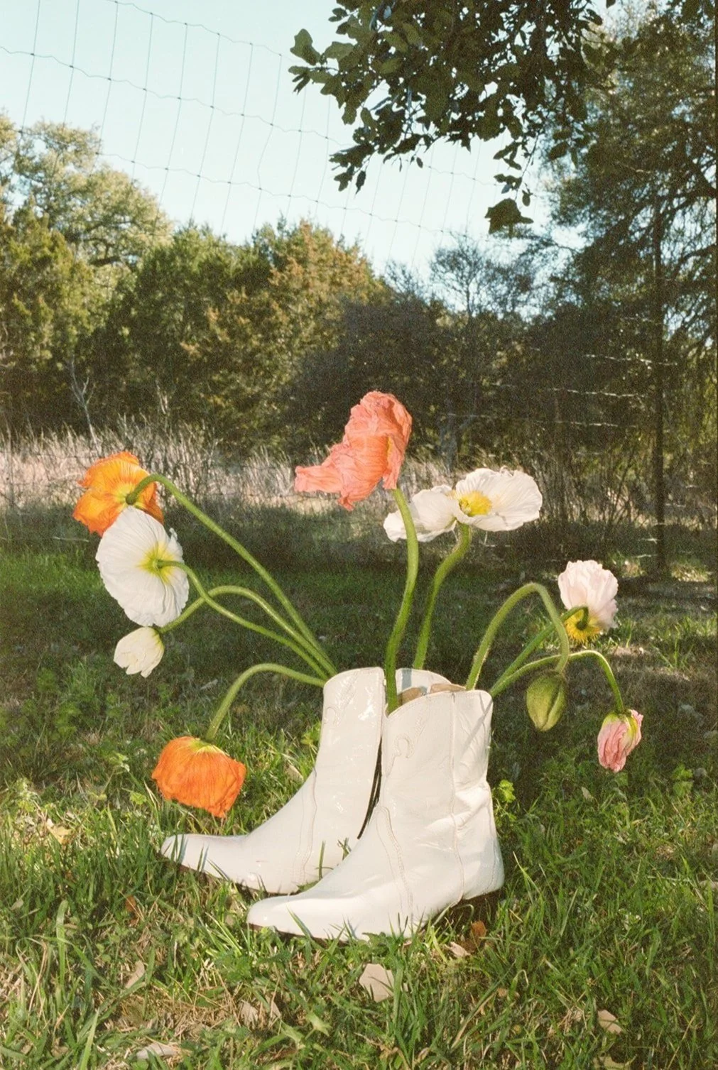 Lovelily Flowers hero