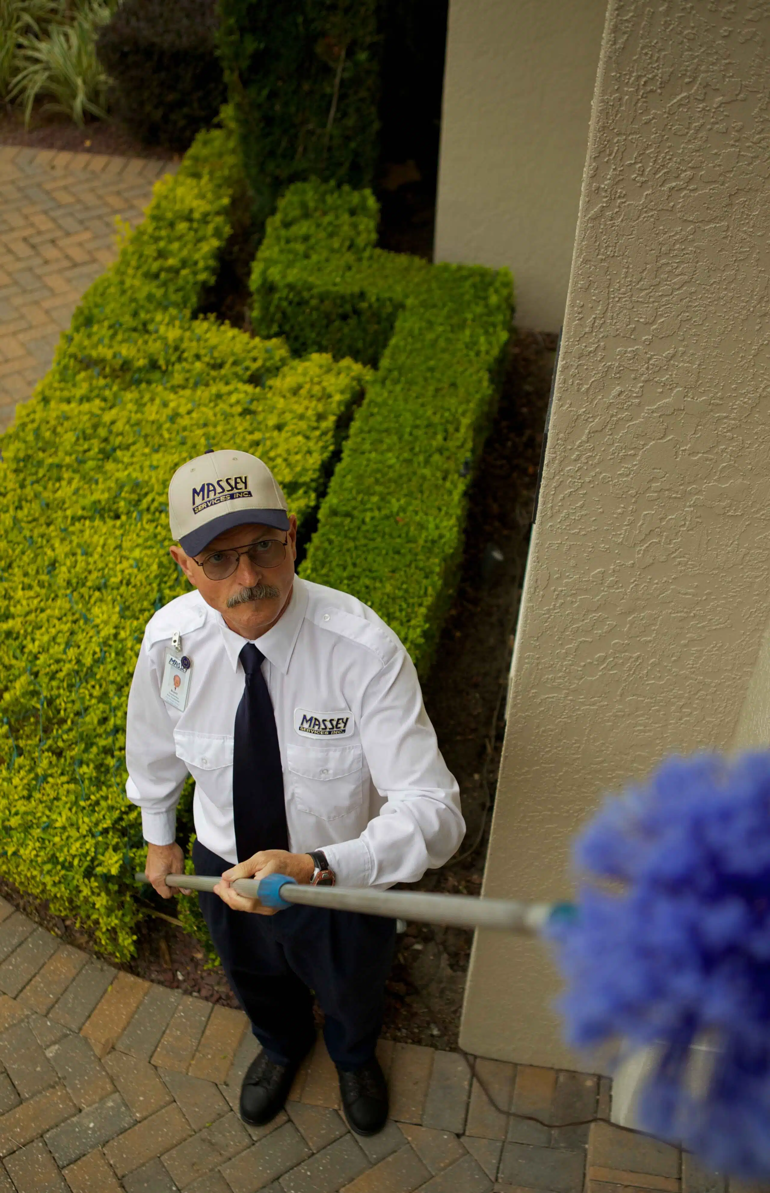 Massey lawn care and landscaping services