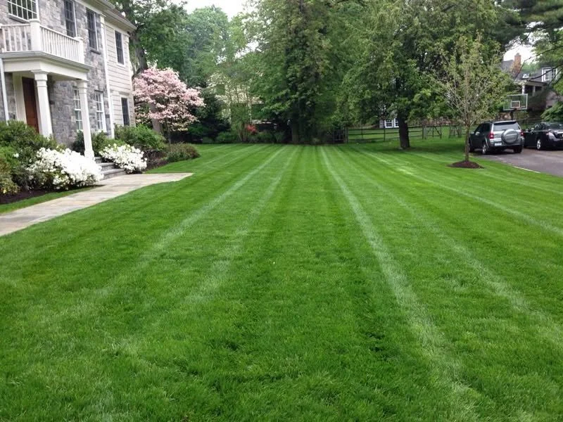 Spring lawn maintenance service
