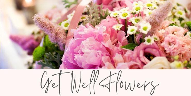Get well flowers Charlotte