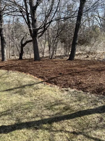 Seasonal Clean-Up & Snow Removal