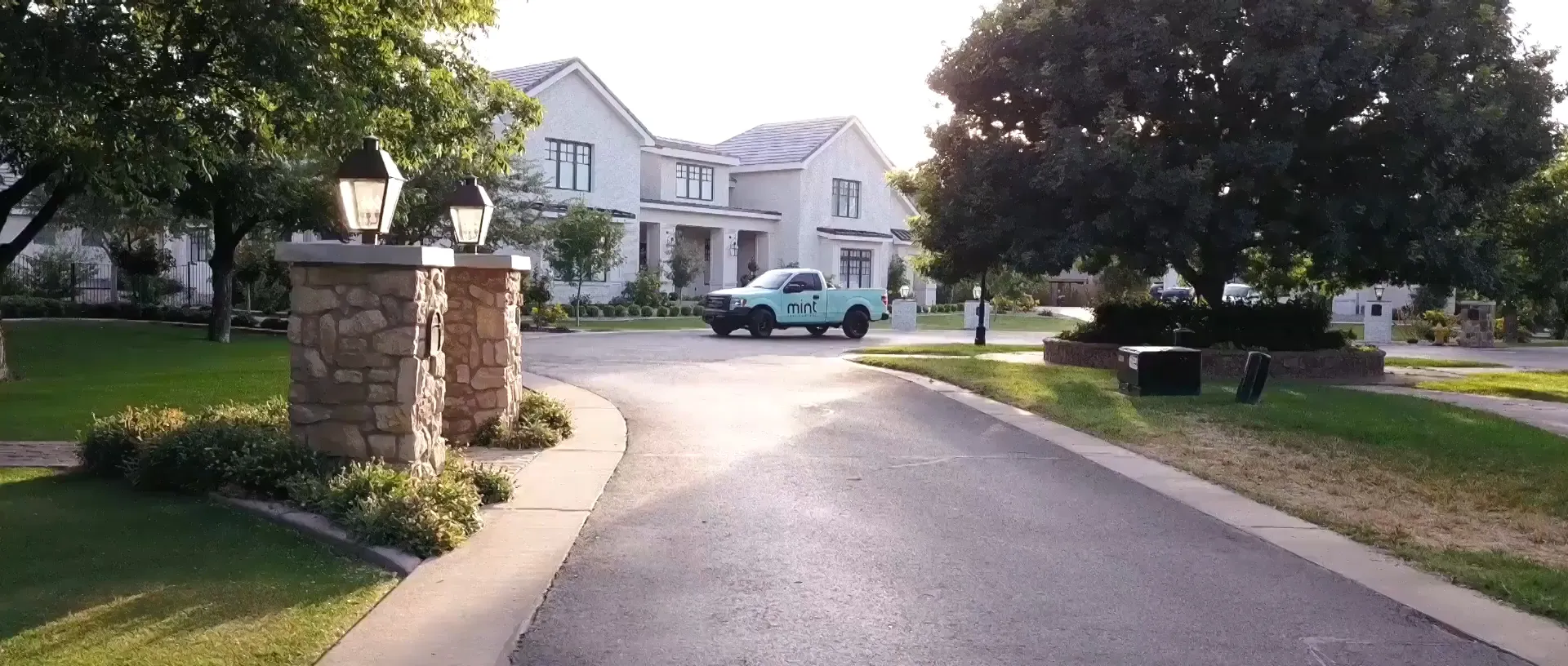 Mint Pest service area