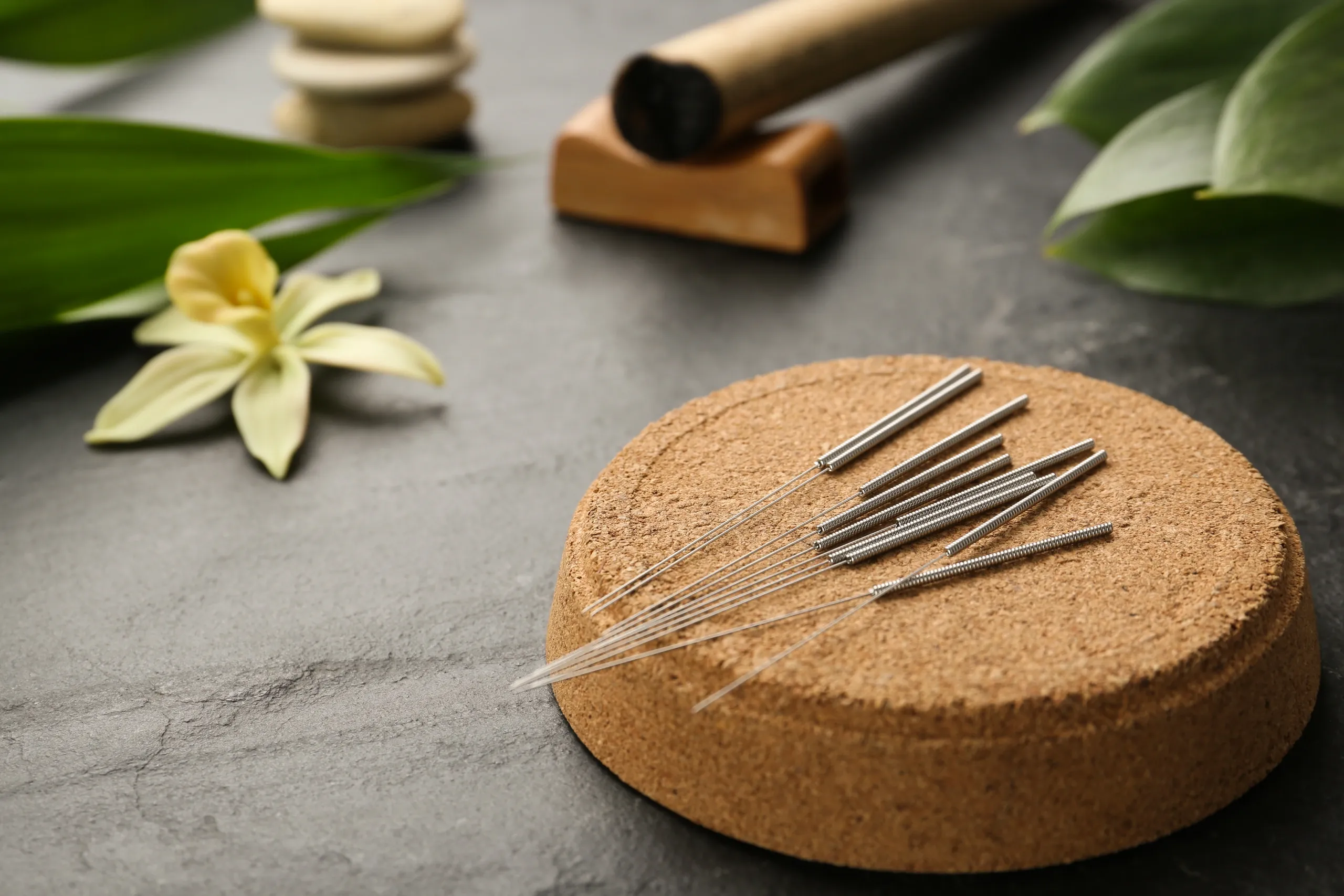 Acupuncture Naples FL