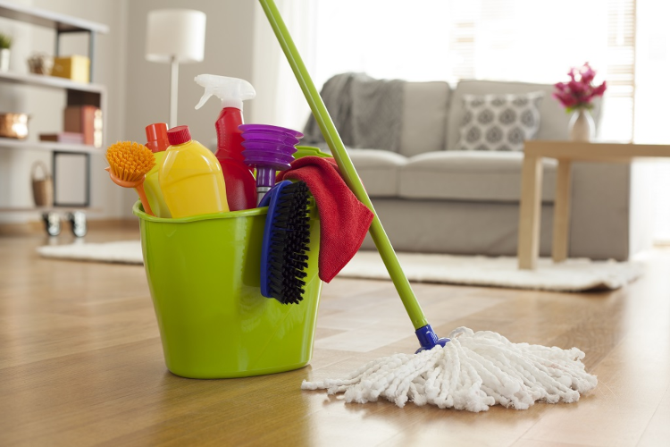 Professional house cleaning