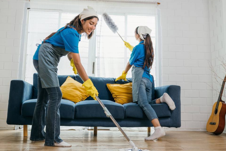 Apartment Cleaning