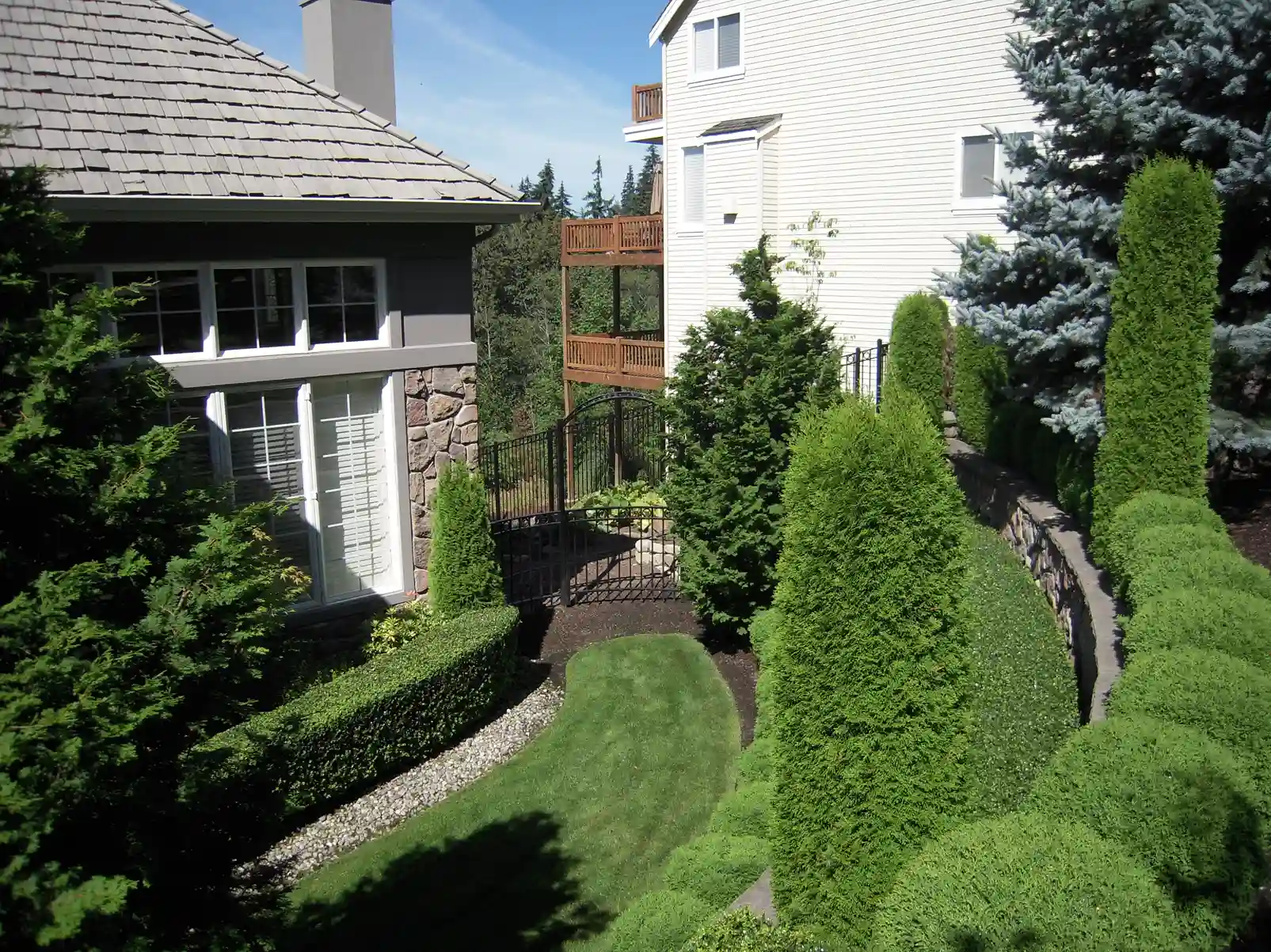 Landscaped garden between houses