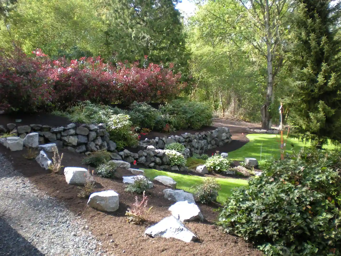Landscaped rock garden