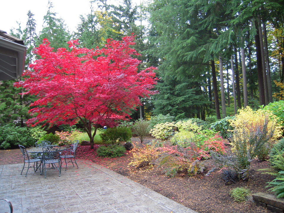 Irrigation systems installation