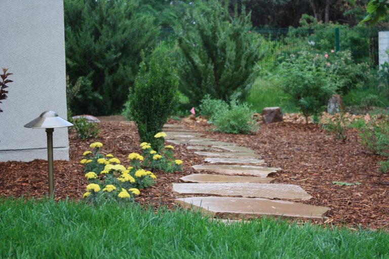 Pergolas shade structures Albuquerque