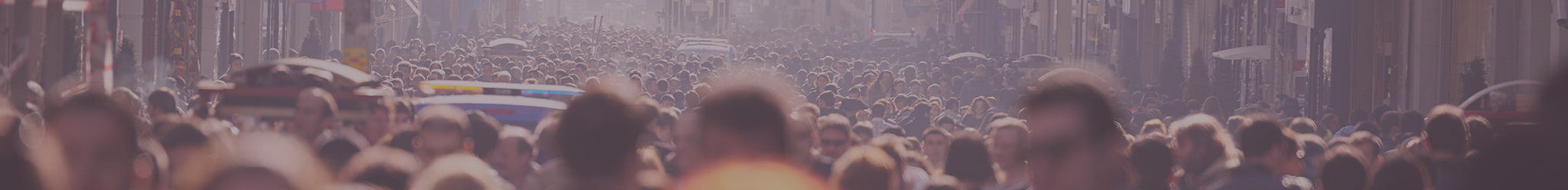 Happy dog in New York City