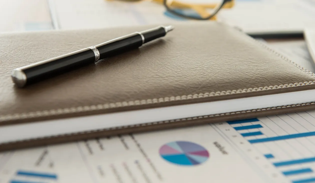 Professional accounting consultation